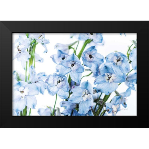 Freshly Picked Delphinium I Black Modern Wood Framed Art Print by Urquhart, Elizabeth