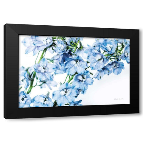 Freshly Picked Delphinium II Black Modern Wood Framed Art Print with Double Matting by Urquhart, Elizabeth