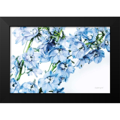 Freshly Picked Delphinium II Black Modern Wood Framed Art Print by Urquhart, Elizabeth