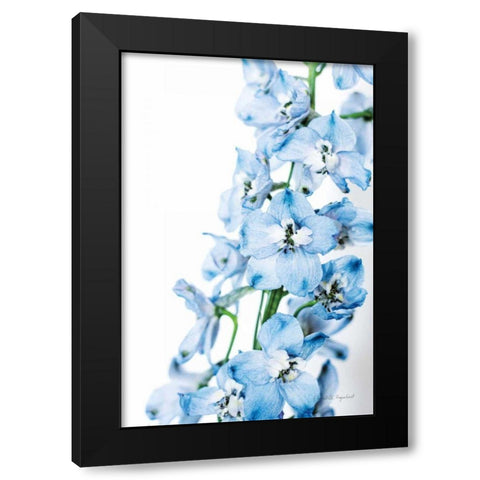 Freshly Picked Delphinium III Black Modern Wood Framed Art Print with Double Matting by Urquhart, Elizabeth