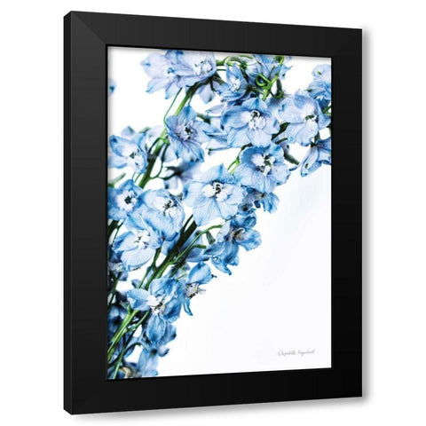Freshly Picked Delphinium IV Black Modern Wood Framed Art Print with Double Matting by Urquhart, Elizabeth