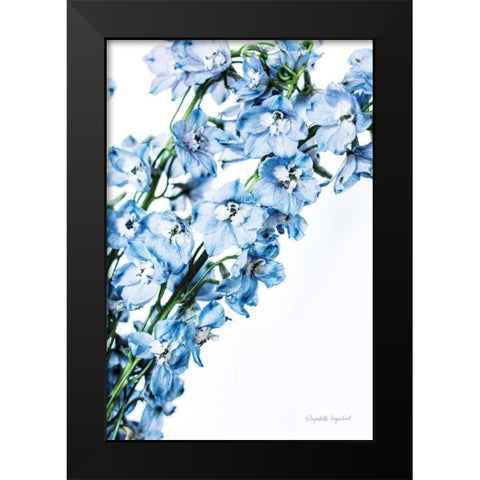 Freshly Picked Delphinium IV Black Modern Wood Framed Art Print by Urquhart, Elizabeth