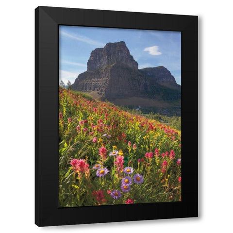 Boulder Pass Wildflowers Black Modern Wood Framed Art Print with Double Matting by Majchrowicz, Alan