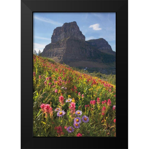 Boulder Pass Wildflowers Black Modern Wood Framed Art Print by Majchrowicz, Alan