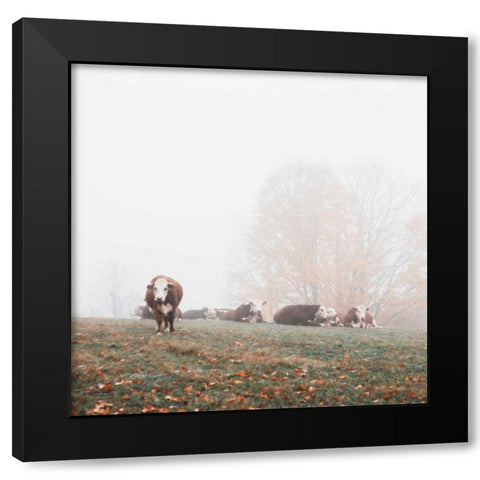 Misty Pasture Black Modern Wood Framed Art Print by Marshall, Laura