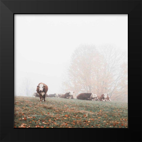 Misty Pasture Black Modern Wood Framed Art Print by Marshall, Laura
