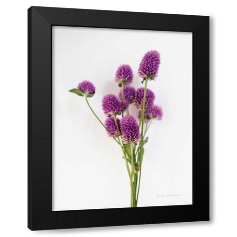 Dried Bouquet II Black Modern Wood Framed Art Print with Double Matting by Catterall, Elise