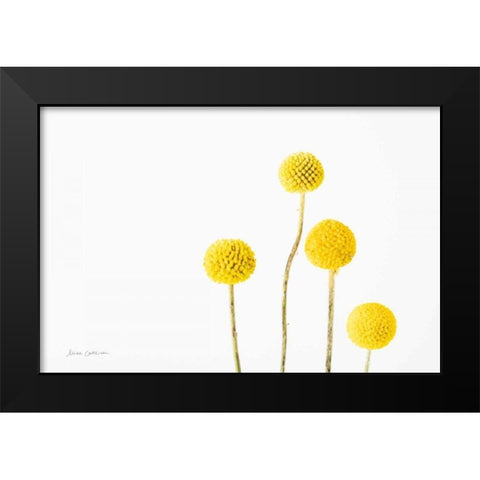 Craspedia I Black Modern Wood Framed Art Print by Catterall, Elise