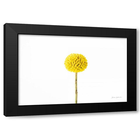 Craspedia III Black Modern Wood Framed Art Print with Double Matting by Catterall, Elise