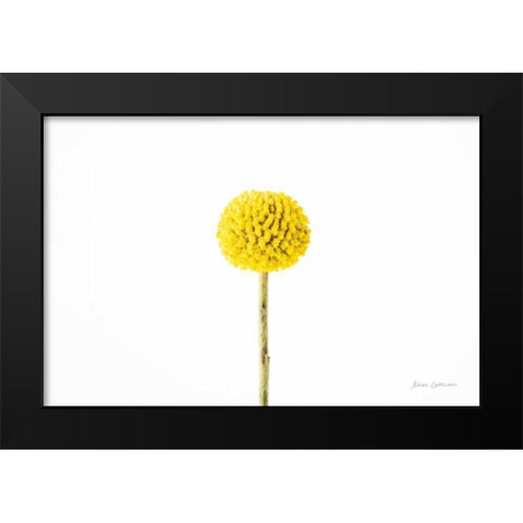 Craspedia III Black Modern Wood Framed Art Print by Catterall, Elise