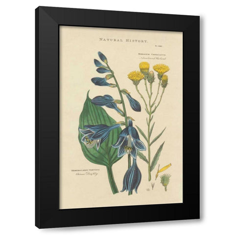 Botanical Print I Black Modern Wood Framed Art Print with Double Matting by Wild Apple Portfolio