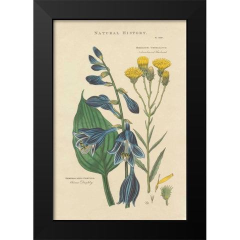Botanical Print I Black Modern Wood Framed Art Print by Wild Apple Portfolio