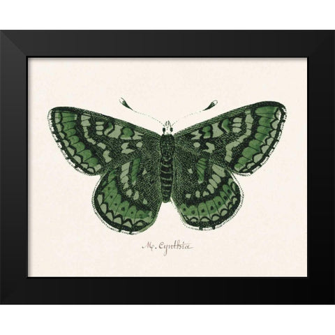 Antique Butterfly I Black Modern Wood Framed Art Print by Wild Apple Portfolio