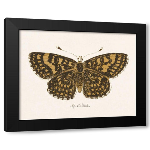 Antique Butterfly II Black Modern Wood Framed Art Print by Wild Apple Portfolio