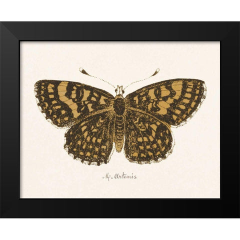 Antique Butterfly II Black Modern Wood Framed Art Print by Wild Apple Portfolio