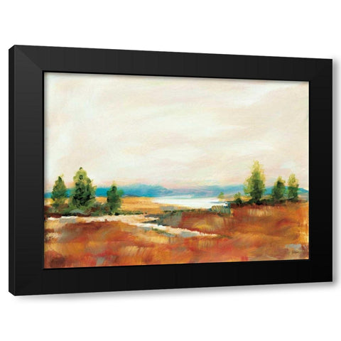 Amity Pond Black Modern Wood Framed Art Print with Double Matting by Schlabach, Sue