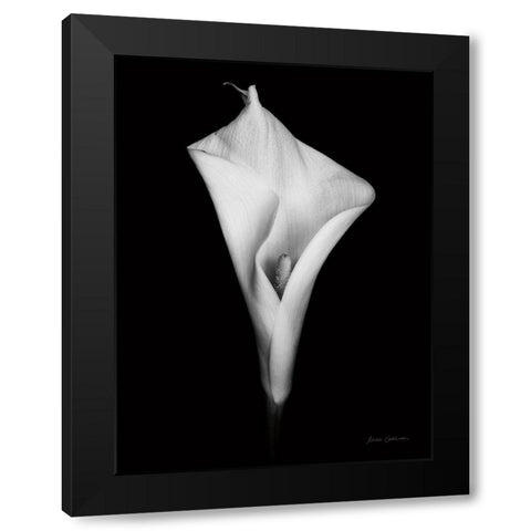 Elegant Calla I Black Modern Wood Framed Art Print by Catterall, Elise