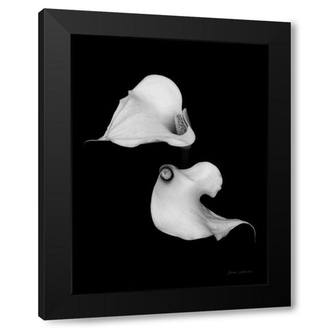 Elegant Calla II Black Modern Wood Framed Art Print by Catterall, Elise
