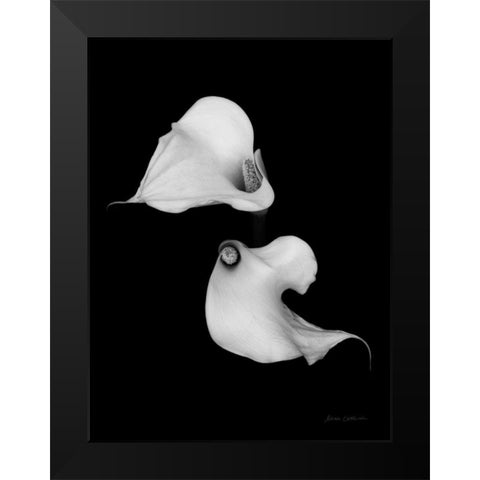 Elegant Calla II Black Modern Wood Framed Art Print by Catterall, Elise