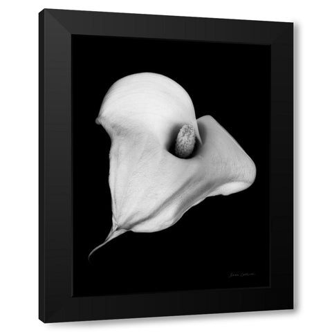 Elegant Calla III Black Modern Wood Framed Art Print by Catterall, Elise