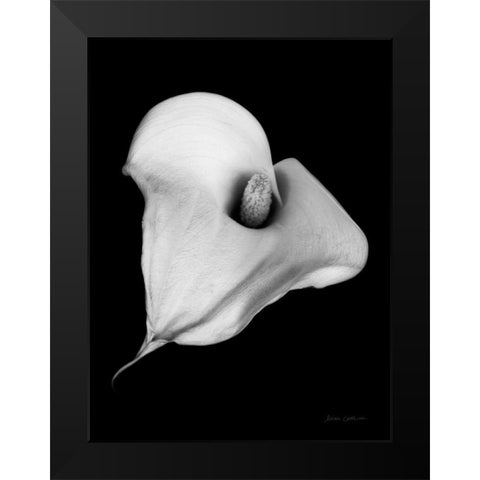 Elegant Calla III Black Modern Wood Framed Art Print by Catterall, Elise