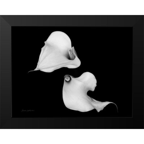Elegant Calla IV Black Modern Wood Framed Art Print by Catterall, Elise