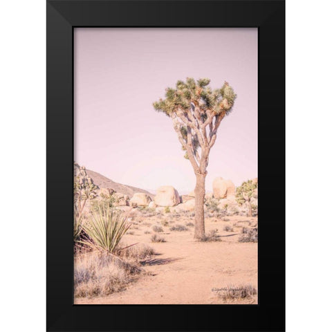 Joshua Tree III Blush Black Modern Wood Framed Art Print by Urquhart, Elizabeth