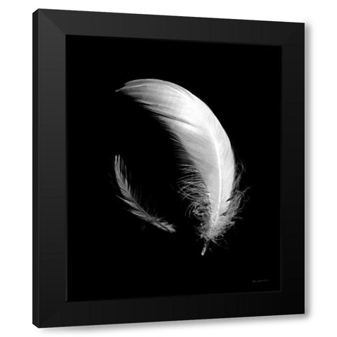 Dream Feathers Black Modern Wood Framed Art Print with Double Matting by Goldstein, Ed