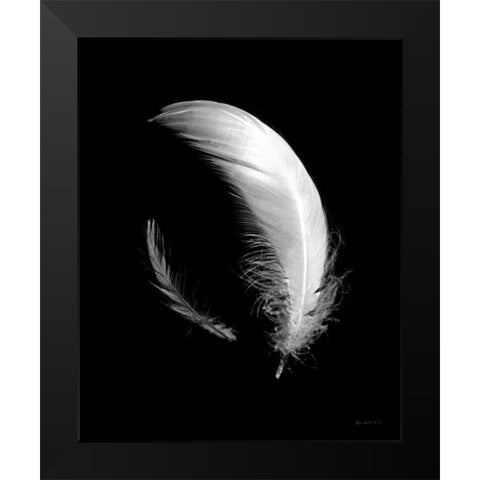 Dream Feathers Black Modern Wood Framed Art Print by Goldstein, Ed