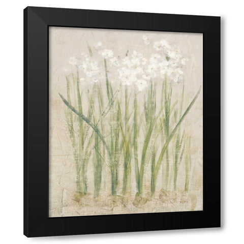 Narcissus Light Black Modern Wood Framed Art Print with Double Matting by Blum, Cheri