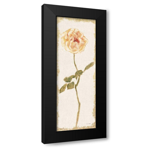 Pale Rose Panel Light Black Modern Wood Framed Art Print with Double Matting by Blum, Cheri