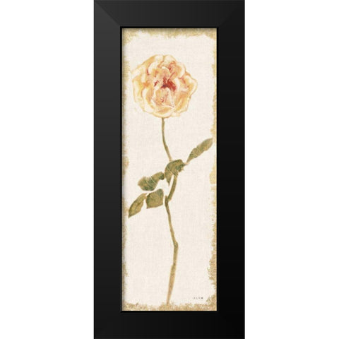 Pale Rose Panel Light Black Modern Wood Framed Art Print by Blum, Cheri