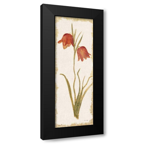 Red Tulip Panel Light Black Modern Wood Framed Art Print with Double Matting by Blum, Cheri
