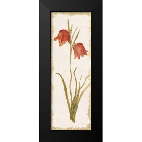 Red Tulip Panel Light Black Modern Wood Framed Art Print by Blum, Cheri