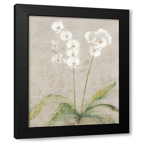 Orchid Light Black Modern Wood Framed Art Print with Double Matting by Blum, Cheri
