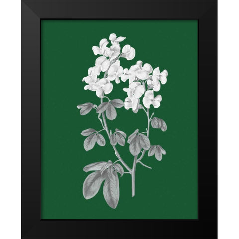 Green Botanical III Black Modern Wood Framed Art Print by Wild Apple Portfolio