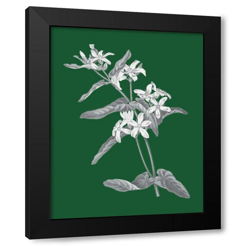 Green Botanical IV Black Modern Wood Framed Art Print with Double Matting by Wild Apple Portfolio