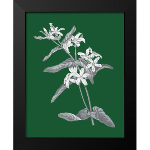 Green Botanical IV Black Modern Wood Framed Art Print by Wild Apple Portfolio