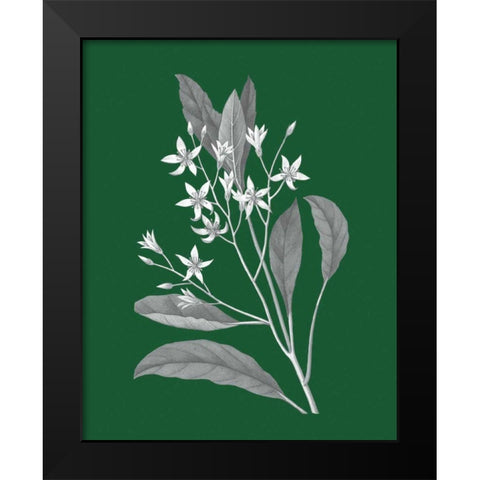 Green Botanical V Black Modern Wood Framed Art Print by Wild Apple Portfolio