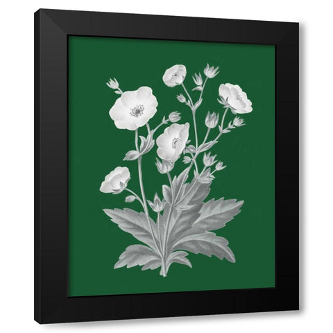 Green Botanical VI Black Modern Wood Framed Art Print with Double Matting by Wild Apple Portfolio