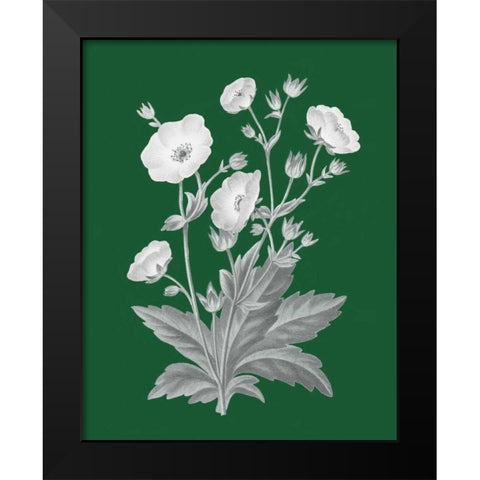Green Botanical VI Black Modern Wood Framed Art Print by Wild Apple Portfolio