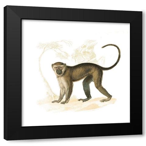 Golden Monkey Black Modern Wood Framed Art Print by Wild Apple Portfolio
