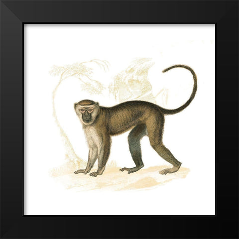 Golden Monkey Black Modern Wood Framed Art Print by Wild Apple Portfolio