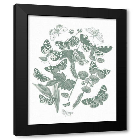 Butterfly Bouquet IV Sage Black Modern Wood Framed Art Print by Wild Apple Portfolio
