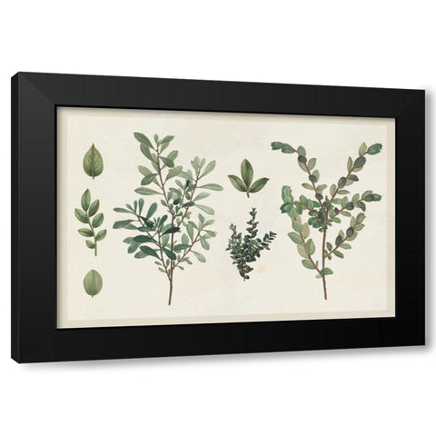 Victorian Garden Chart I Black Modern Wood Framed Art Print by Wild Apple Portfolio