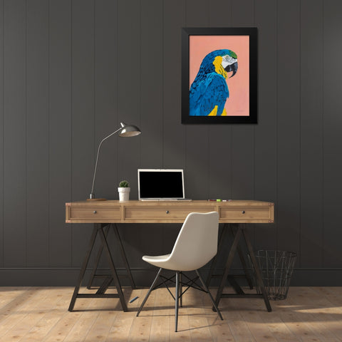 Blue and Gold Macaw Black Modern Wood Framed Art Print by Munger, Pamela