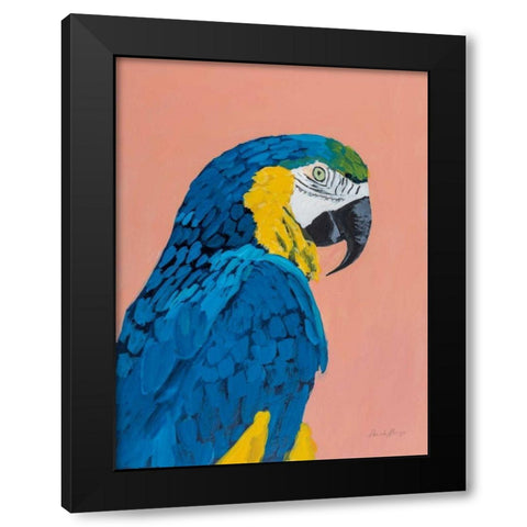 Blue and Gold Macaw Black Modern Wood Framed Art Print by Munger, Pamela