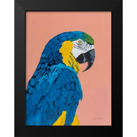 Blue and Gold Macaw Black Modern Wood Framed Art Print by Munger, Pamela