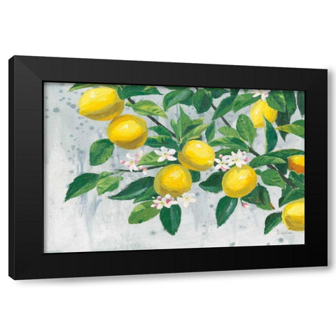 Zesty Lemons Black Modern Wood Framed Art Print with Double Matting by Wiens, James