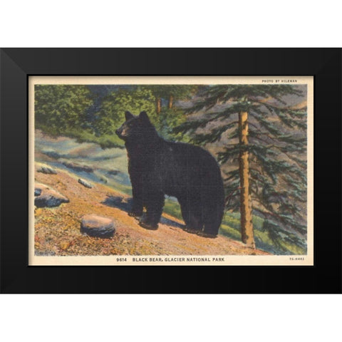 Black Bear I Crop Black Modern Wood Framed Art Print by Wild Apple Portfolio